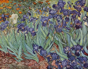 Schwertlilien nach van Gogh